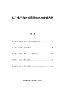 红牛电子商务发展战略实施步骤大纲(1)