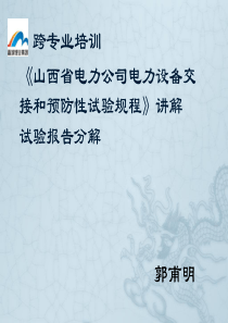 《山西省电力公司电力设备交接和预防性试验规程》讲解、试验报告讲解(郭甫明)