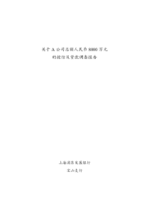 关于对A公司贷款调查报告(2004.1)