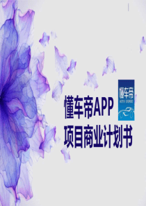 《懂车帝》APP项目-打造汽车生活生态圈+一站式汽车撮合交易平台商业计划书【最终版】