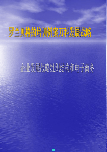 罗兰·贝格的培训例案万科发展战略