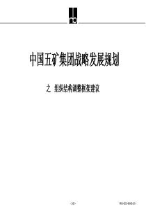 罗兰贝格-中国五矿集团战略发展规划之组织结构调整框架建议