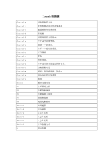 Icepak快捷键