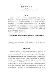 5.3泡排剂的应用要点