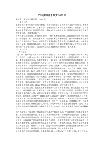 2015实习报告范文3000字