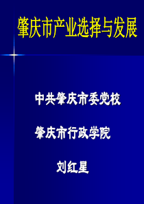 肇庆市产业选择与发展研究(县处班)