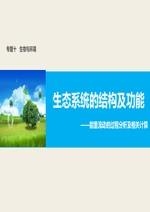 生态系统的能量流动-二轮复习(公开课)