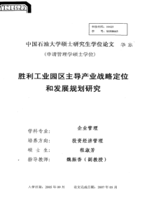 胜利工业园区主导产业战略定位和发展规划研究