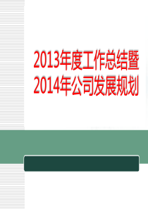 2013年度工作总结暨2014年公司发展规划【简单实用】