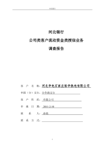 公司类流动资金类授信业务调查报告模版5-31修订