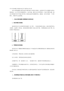 生物-有丝分裂和减数分裂图解-区别和联系