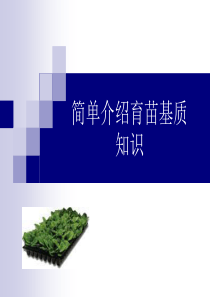 育苗基质功能及介绍-PPT文档资料