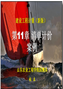 41建筑工程计量与计价11.清单计价案例15.6.1