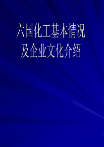 六国化工基本情况及企业文化介绍