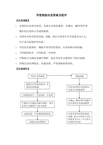 导管脱落应急预案及程序