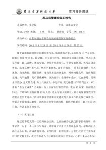 汉语言文学专业实习报告-政府办公室文员