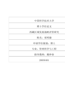 西藏区域发展战略评价研究