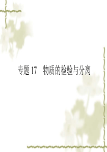 2011化学中考复习课件专题17 物质的检验与分离