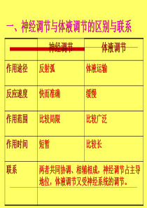 人教版教学教案云南省弥勒县庆来中学2011-2012学年生物必修3 神经调节与体液调节的关系(课件)