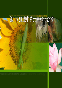 人教版教学课件[名校联盟]辽宁省大连市十四中高中生物 细胞中的元素和化合物 课件(必修一)