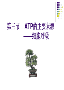 人教版教学课件云南省弥勒县庆来中学2011-2012学年高一生物 atp的主要来源(课件)