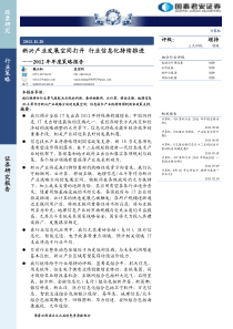 计算机XXXX年度投资策略：新兴产业发展空间打开 行业信息化持续