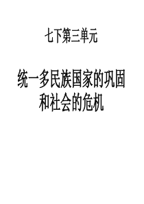 七下第三单元统一多民族国家的巩固和社会的危机