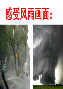 贾平凹《风雨》666