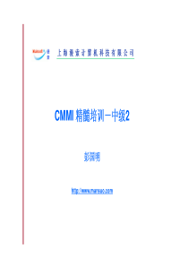 CMMI3 精髓培训(中级2)