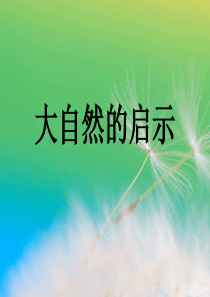 大自然的启示---六年级科学下册