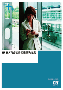 HP ERP 商业软件实施解决方案