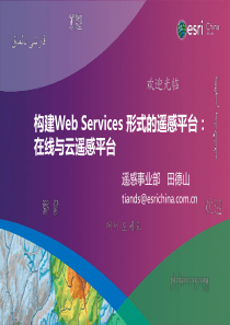 构建Web Services 形式的遥感平台：在线与云遥感平台