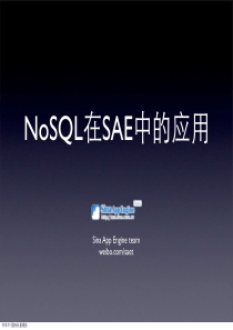 CSDN大数据应用大会PPT――07-丛磊：NoSQL在SAE中的应用