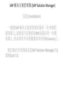 SAP 解决方案管理器 (SAP Solution Manager ) presentation