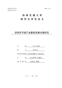 资阳市节能产业集群发展对策研究