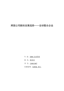 跨国公司新的发展趋势——全球整合企业