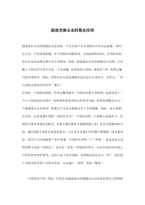 超速发展企业的稳定法则(doc9)(1)