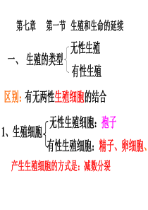 无性生殖优点