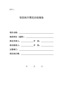 项目执行情况总结报告