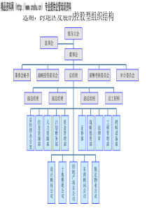 远期，跨地区发展的控股型