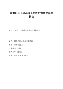 思想政治理论课社会实践报告