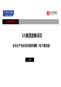 远卓—xx集团战略项目各自主产业业务发展的理解