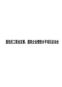 通x集团公司规划员工职业发展、提高企业绩效水平项目启