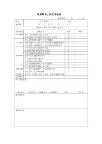 试用期员工转正考核表