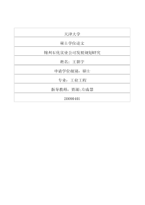 锦州石化实业公司发展规划研究