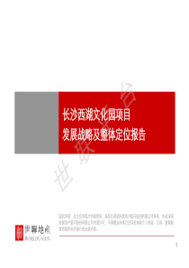 长沙_西湖文化园区域开发、整体定位、发展战略