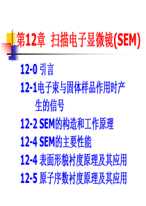 14-扫描电子显微镜