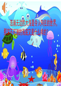 23《海底世界》优秀课件