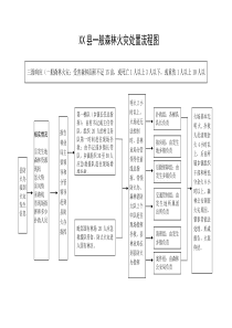 XX县处置森林火灾流程图(0)