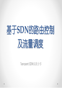 SDN的流量工程和路由控制